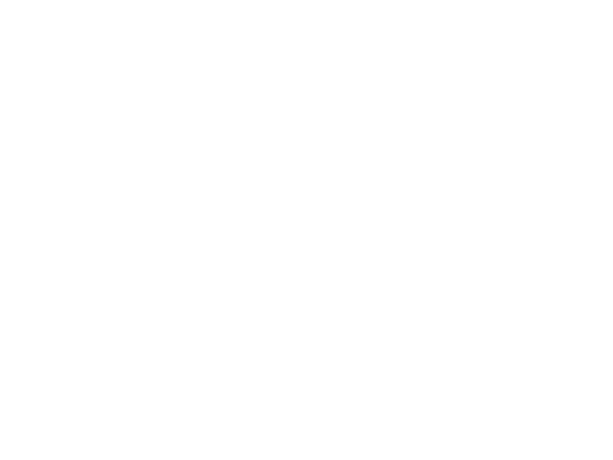 The Brand Power Company